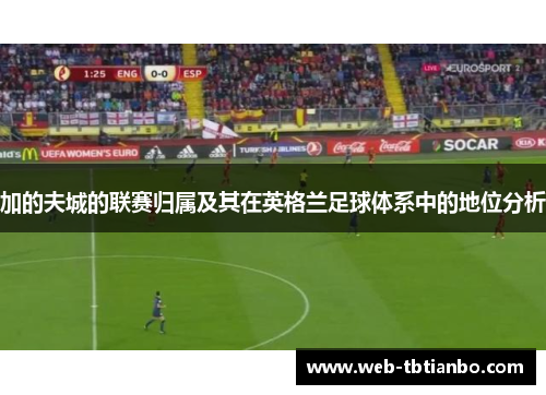 加的夫城的联赛归属及其在英格兰足球体系中的地位分析 加的夫城的联赛归属及其在英格兰足球体系中的地位分析